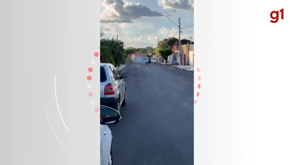 Vaca solta em rua é morta a tiros por policial de folga após danificar veículos e ferir pessoas, diz PM