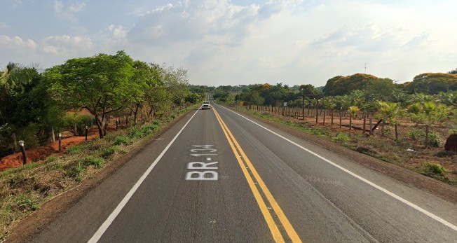 Motorista mata cavalos em rodovia do Tocantins e deixa local de carona, dizem testemunhas