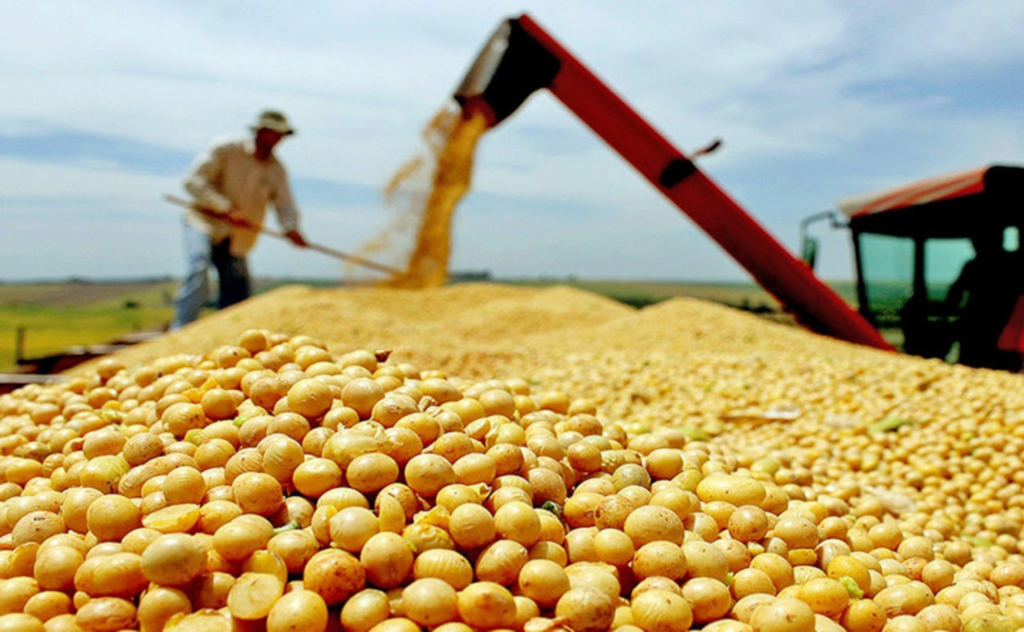 Com expectativa de crescimento, produção da safra de grãos tem estimativa de 8,4 milhões de toneladas no Tocantins em 2025
