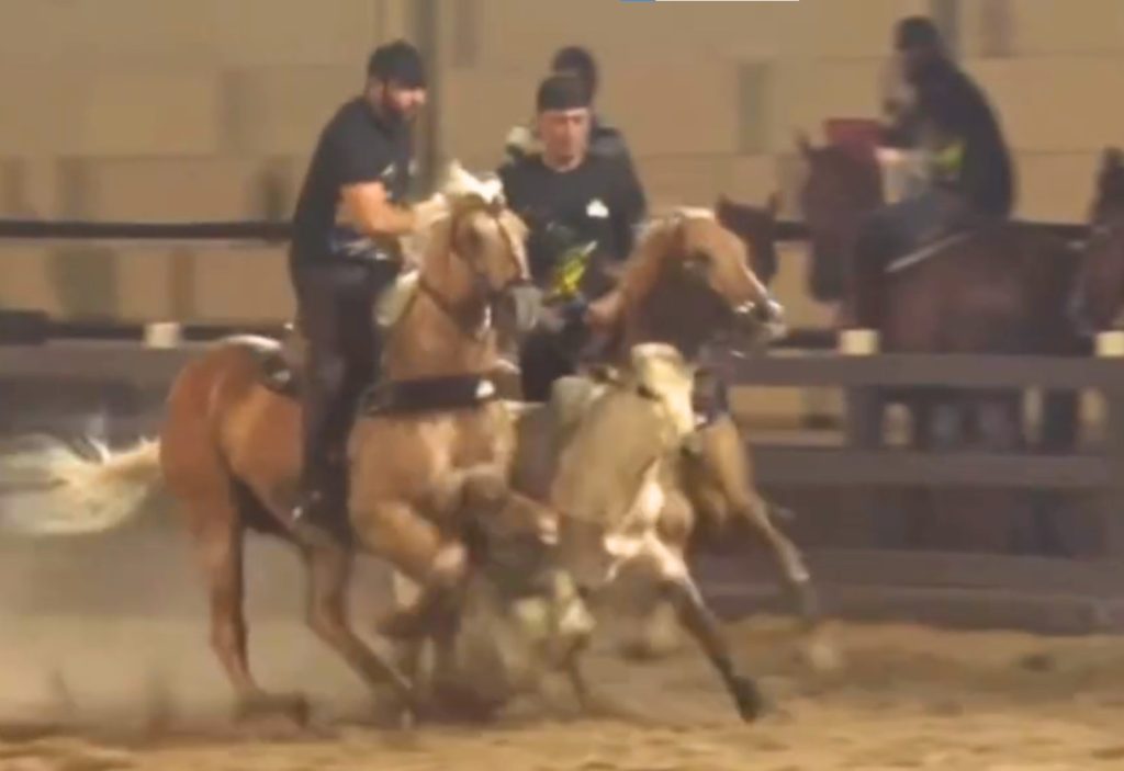 Após queda de cavalo, Henrique, da dupla com Juliano, volta a competir e derruba boi em vaquejada; VÍDEO